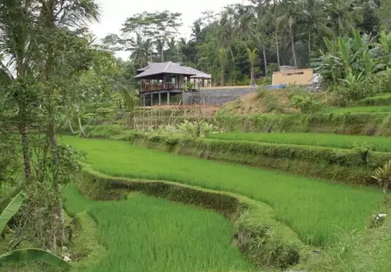 QQ截图20160415111712 QQ截图20160415111712