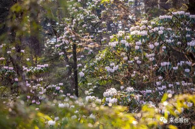 QQ截图20180827165606