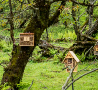 “贡”同成长 | 这个夏天“嘎”有趣——世界研学旅游组织开营啦！